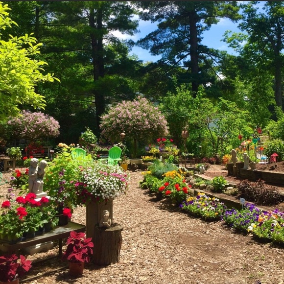 Meet your Posher, Crystal - Picture 3 of 3